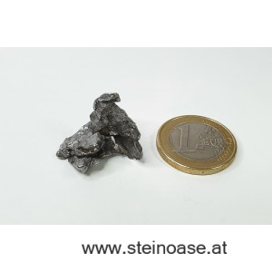 Meteorit /Eisenmeteorit